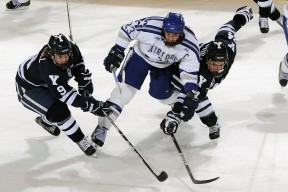 今日体育比赛盘口走势预测，今日体育资讯